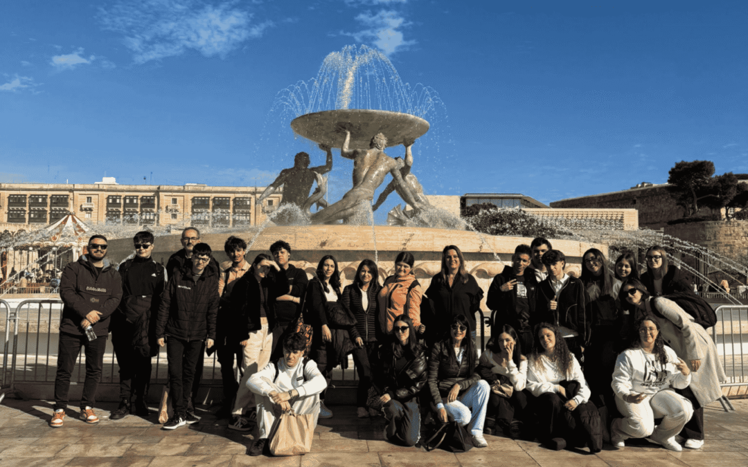 Studying English in Malta: Your Complete Journey with Language Connect